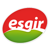 Esgir