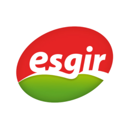 Esgir